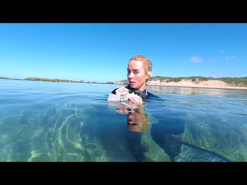 MOZAMBIQUE  // Exploring Zavora, with Marine Action Research and plenty of ocean time