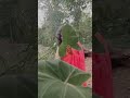 Kakkakarumban Kandal Kurumban
