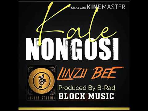 Kale Nogosi (2020 music) Linzii Bee