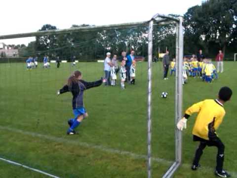 Blauw Geel F1 - Velocitas F1