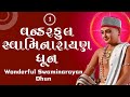 Wonderful Swaminarayan Dhun 01 | વન્ડરફુલ સ્વામિનારાયણ ધૂન ૦૧ | Gyanji