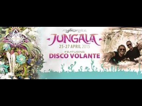 Disco Volante -  Raiden's Theme (Jungala 2015)