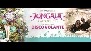 Disco Volante -  Raiden's Theme (Jungala 2015)