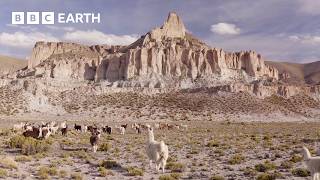 Relax with Soothing Sounds of the Natural World | The Wild Place | The Travel Edit