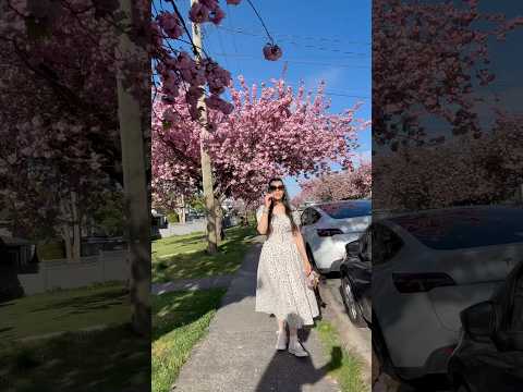 Spring is the best season ever🌸🌷 #music #shorts #shortvideo #viral #youtubeshorts