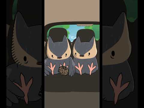 Owls typically feed their strongest babies first. (In reality though it’s usually the older chicks)