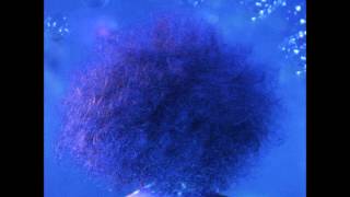 Disaster In The Universe - Curiosity (Evinrude Remix)