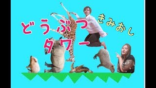〘きみおし〙どうぶつの真の恐怖をまだ知らない…どうぶつタワーに挑戦！
