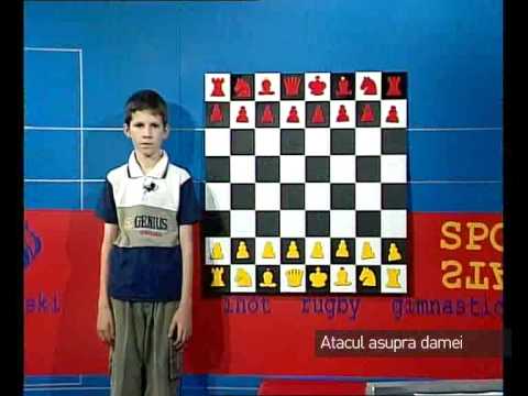 Emisiunea 50 arhiva: "atacul asupra damei"