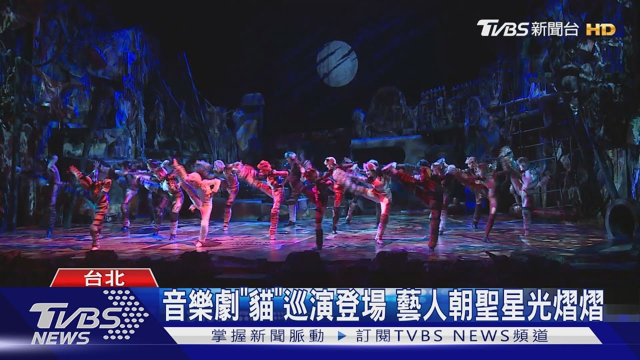 音樂劇「貓」巡演登場 藝人朝聖星光熠熠