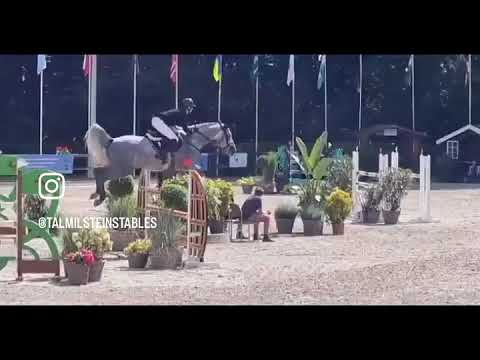 Daddy Cool Ter Linden Z