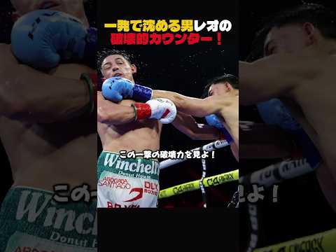 一発で沈める男 レオの破壊的カウンター！