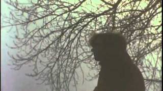 NO REGRETS VIDEO BY TOM RUSH.mp4