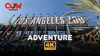 Download lagu Los Angeles Zoo Adventure Cow Missing 4K UHD Botanical Gardens Griffith Park Travel Town mp3 Download lagu Los Angeles Zoo Adventure Cow Missing 4K UHD Botanical Gardens Griffith Park Travel Town mp3