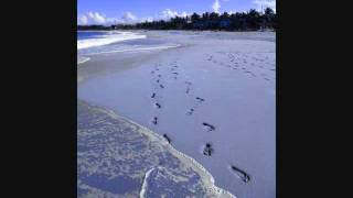 Basis Noir Soninja - Exclusive (Schuld daran)