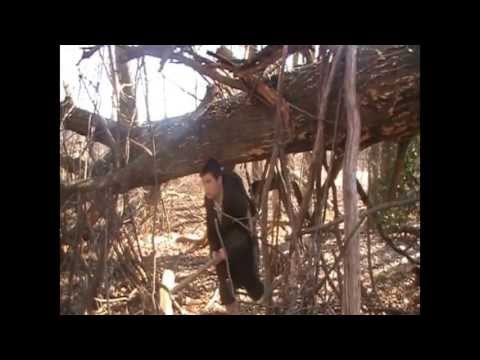 VS. Virizion! The Forest Battle! (Pokemon Video #069)