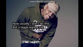 Chris Brown and Tyga - She goin up