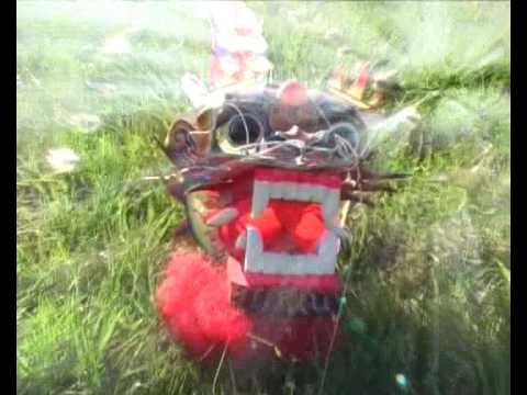 15.Trierer Drachenfest 2007