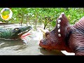 Dinosaur Crocodile Toy In Wild Swamp Dinosaur Toy Story 29 ToyTV