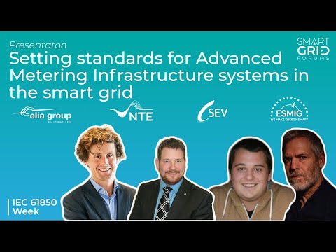 Setting standards for Advanced Metering Infrastructure systems in the smart grid