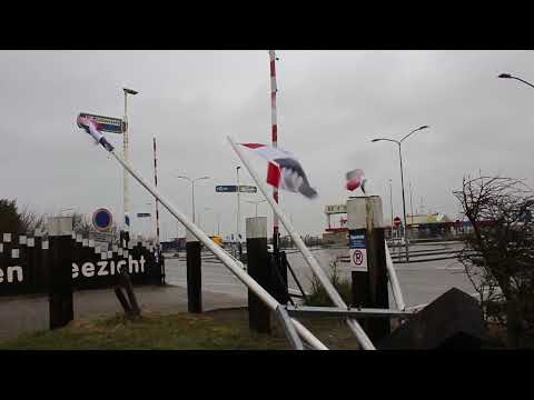 Windstorm 2021-03-11