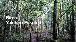 Download lagu Birds - Yukihiro Fukutomi mp3 Download lagu Birds - Yukihiro Fukutomi mp3