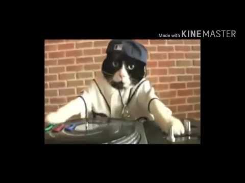 BORGORE X GETTER -SQUAD