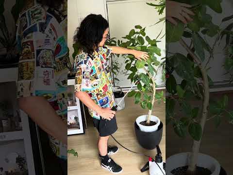 園芸 水を節約するために植物で覆われた密集した庭園