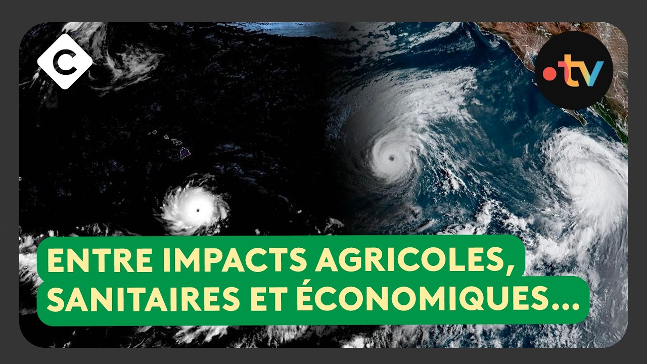 El Niño : des conséquences jusqu’en France ?