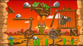 Amigo Coyote 🌵🎈