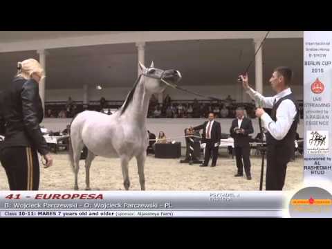 Berlin Cup Werder 2015 - Mares 7 years old and older (Class 10 - 11) - N.41 EUROPESA