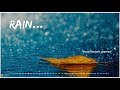 Rim Jhim Rim Jhim Status 1942 A Love Story Rain Status