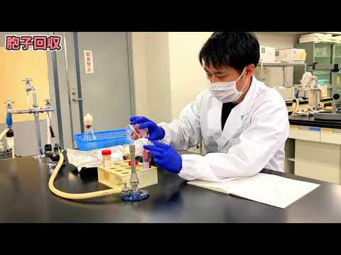 【山口大学OC2025／農学部／生物資源環境科学科】4 植物病原菌学分野