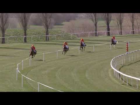 Avenches/31.03.2019/Preis der Firma Intool AG - Poneys D