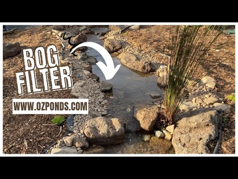 Bog filter in a stream| DIY Pond build