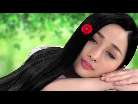 Video review Dầu Gội Củ Sả Mần Trầu Thorakao 400ml