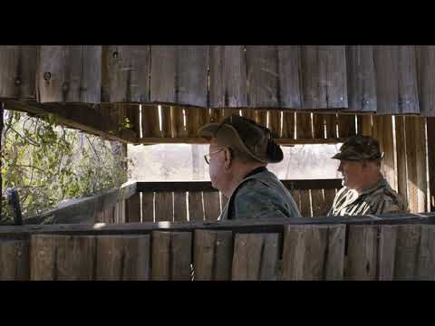 TEASER Safari | #323 "Der österreichische Film - Edition Der Standard"