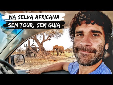 SAFARI NA ÁFRICA POR CONTA PRÓPRIA | Experiência surreal