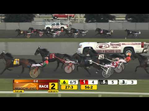 June 28, 2014 - Race 2 - Calipari