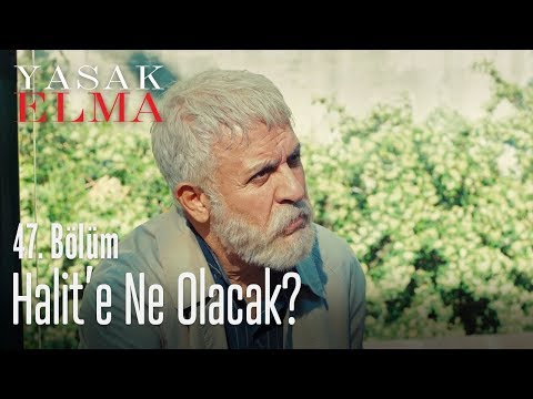 Halit'e ne oldu? - Yasak Elma 47. Bölüm