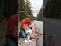 A Mother Lynx and Her Cubs Saved by a Stranger! #rescue #wildlife #animals