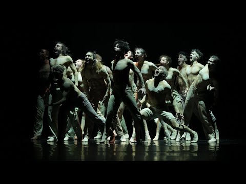 Insight Shechter/Montero