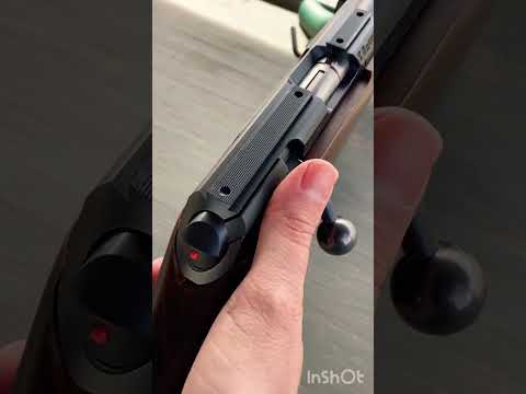 Shooting the CZ 457 Trainer