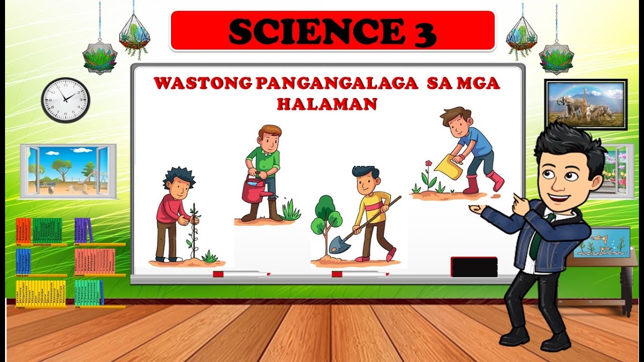 Wastong Pangangalaga sa mga Halaman - SCIENCE 3 - QUARTER 2