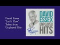 David Essex "Let It Flow" [Taken from - Unplayed Hits] Exclusively from www.davidessex.com