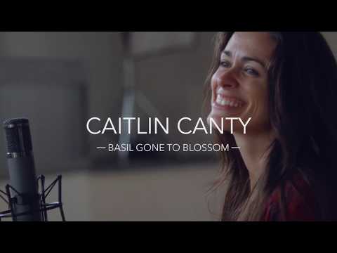 Caitlin Canty with Noam Pikelny Basil Gone to Blossom