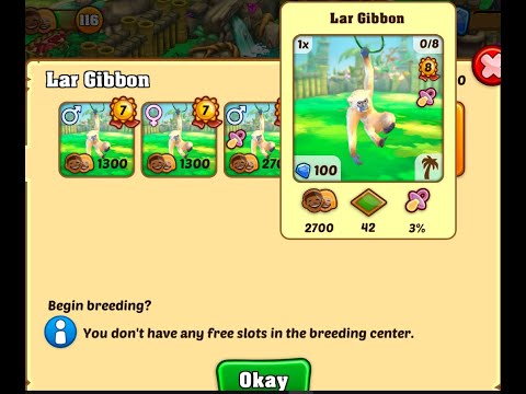 Zoo 2 Animal park online - Breeding lar gibbon baby