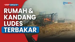 Imbas Lahan Ilalang Samping Rumah Terbakar, Rumah Semi Permanen Milik Misjono Dilalap Si Jago Merah