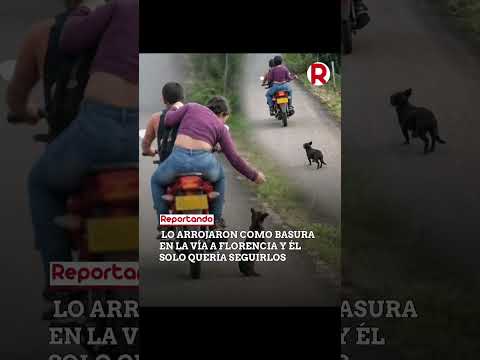 Una pareja lanzó un perrito desde una moto en Curillo, Caquetá. El animal los siguió corriendo.