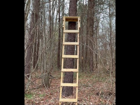 Wooden Ladder Tree Stand